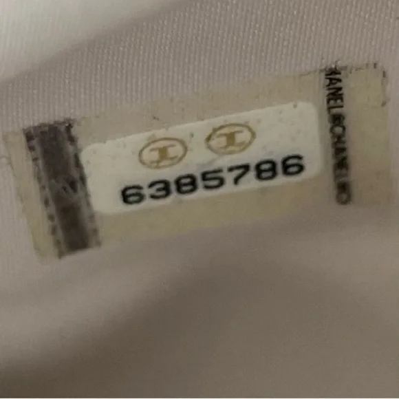 Chanel Travel Ligne Line Wallet On Chain WOC Crossbody Purse Bag